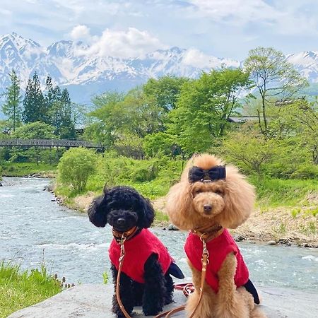 白馬パウダーマウンテン Hotel Hakuba Bagian luar foto