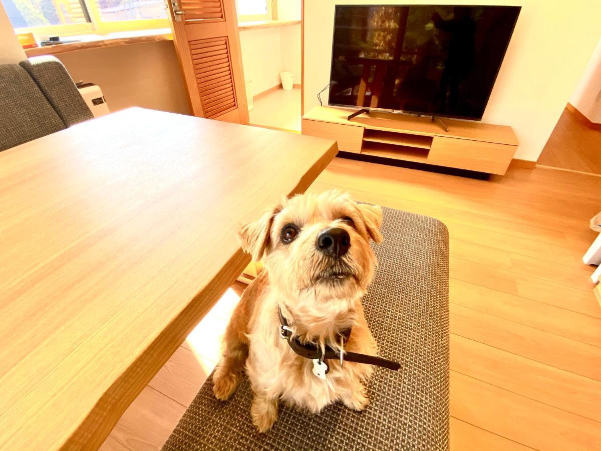 白馬パウダーマウンテン Hotel Hakuba Bagian luar foto