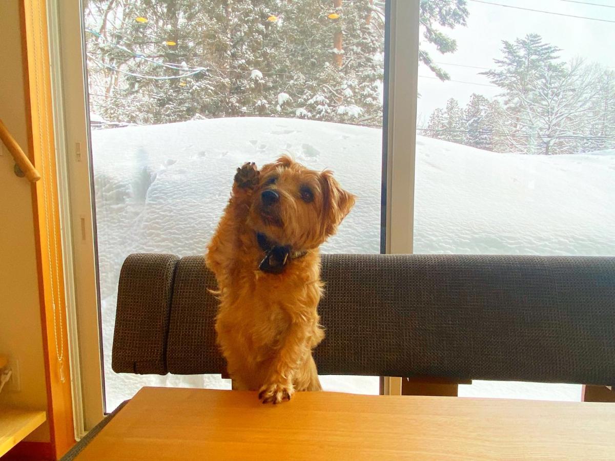白馬パウダーマウンテン Hotel Hakuba Bagian luar foto