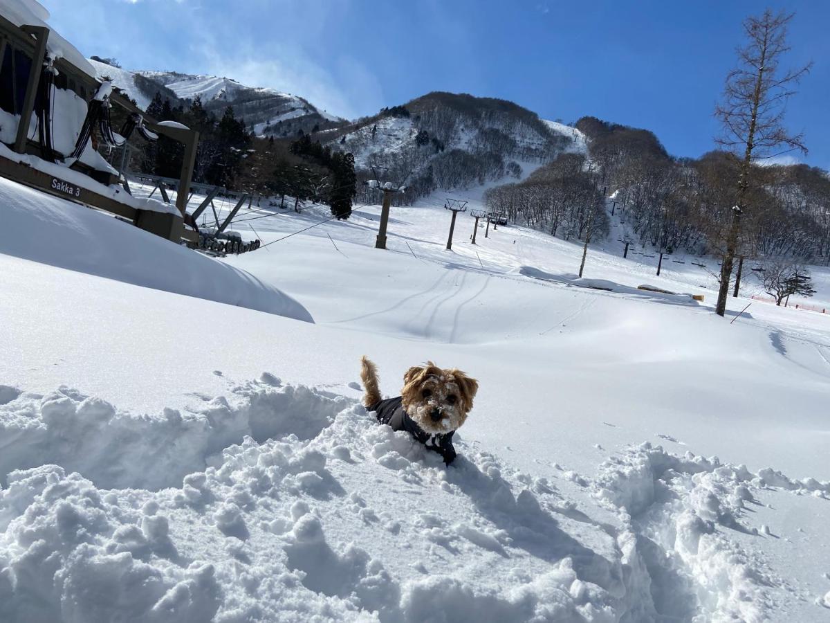 白馬パウダーマウンテン Hotel Hakuba Bagian luar foto