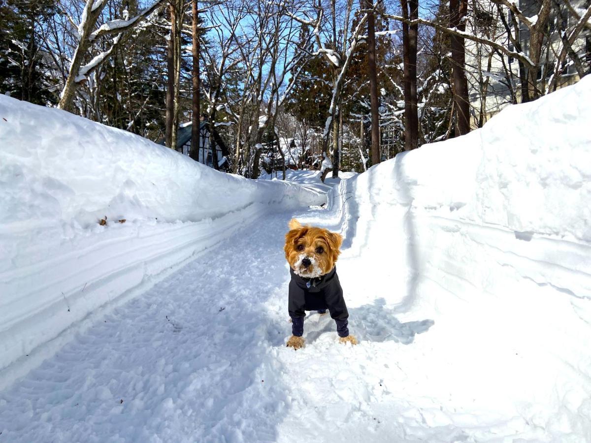 白馬パウダーマウンテン Hotel Hakuba Bagian luar foto