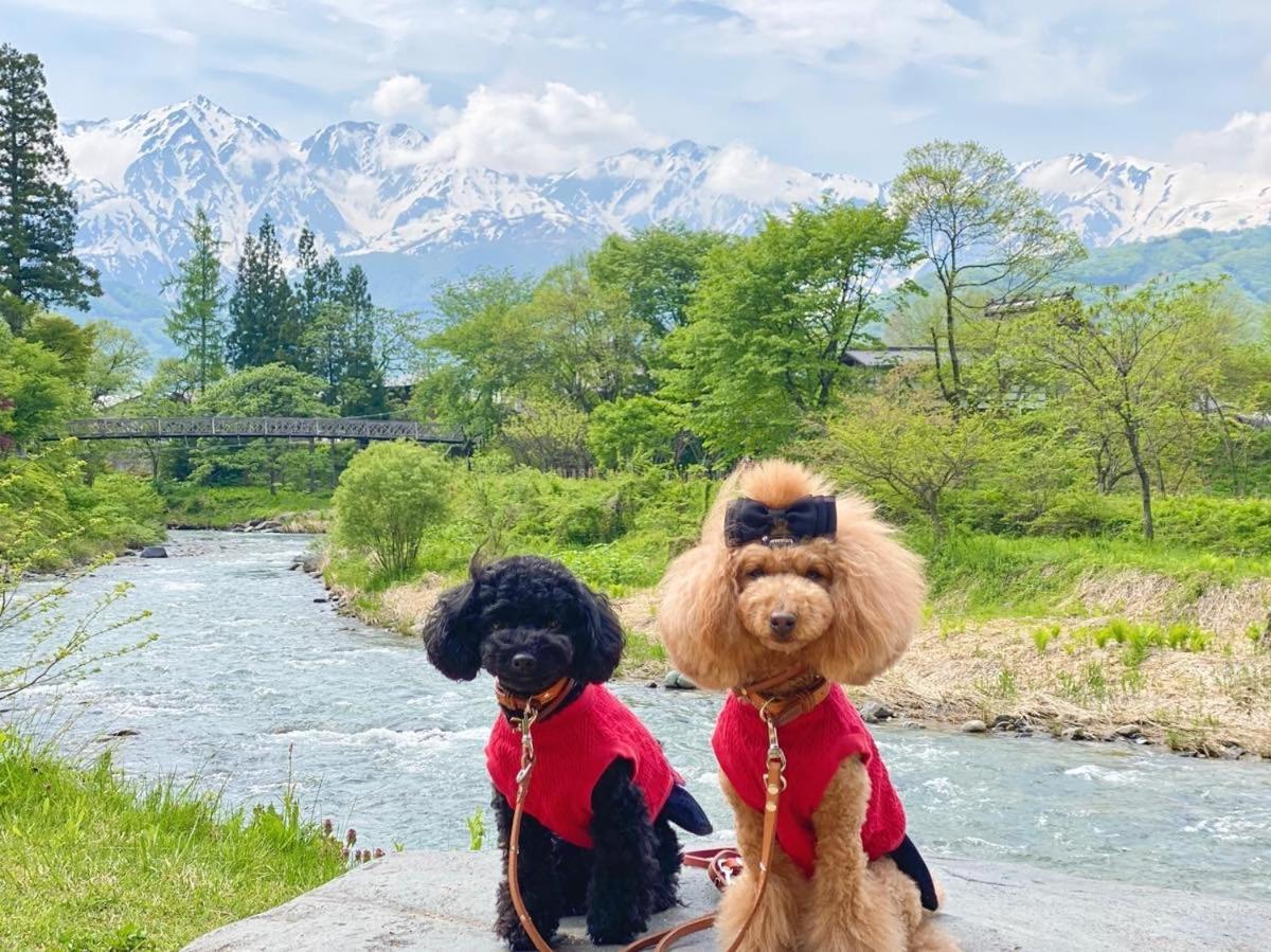 白馬パウダーマウンテン Hotel Hakuba Bagian luar foto