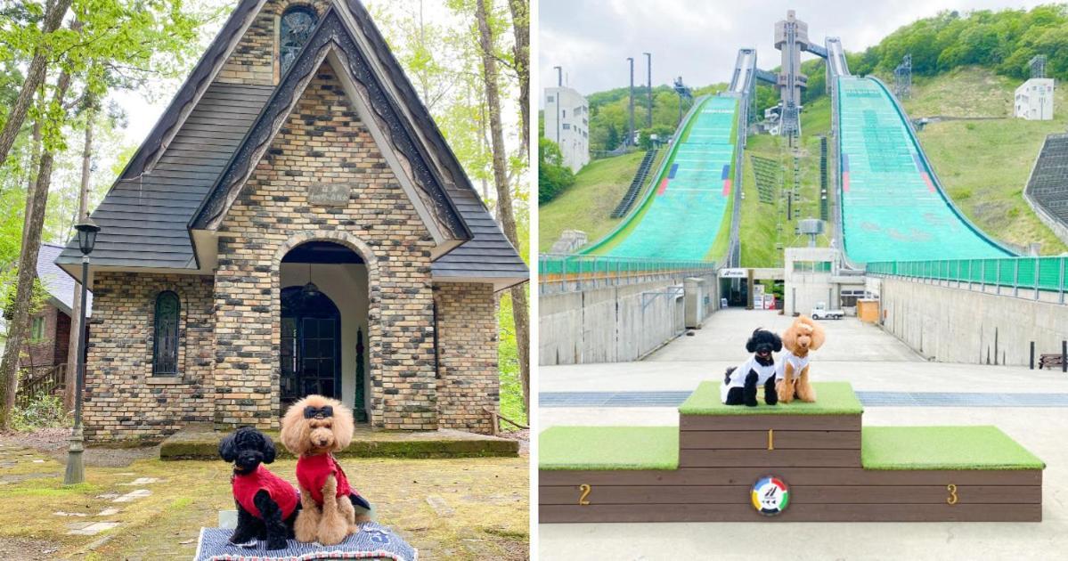 白馬パウダーマウンテン Hotel Hakuba Bagian luar foto